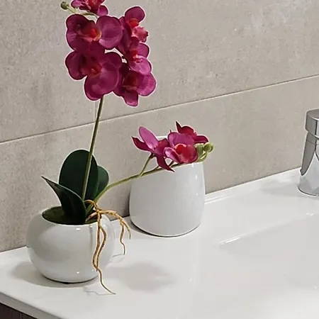 Paula Appartamento Valladolid