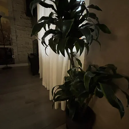 Apartment Paula Valladolid