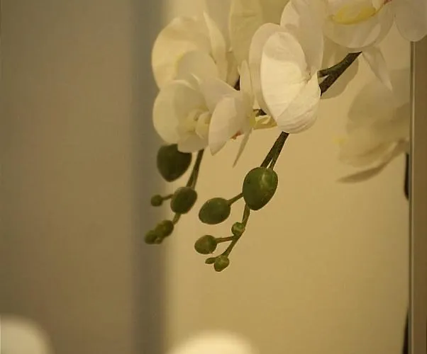 Paula Apartamento Valladolid