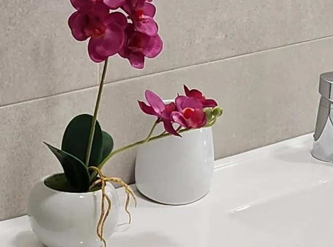 Paula Apartamento Valladolid