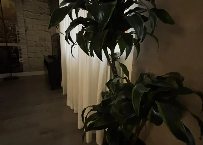 Apartamento Paula Valladolid